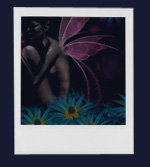 Photo Gallery | Conrad's Digital Portfolio
